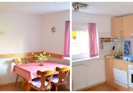 Tulpe * 치노비츠